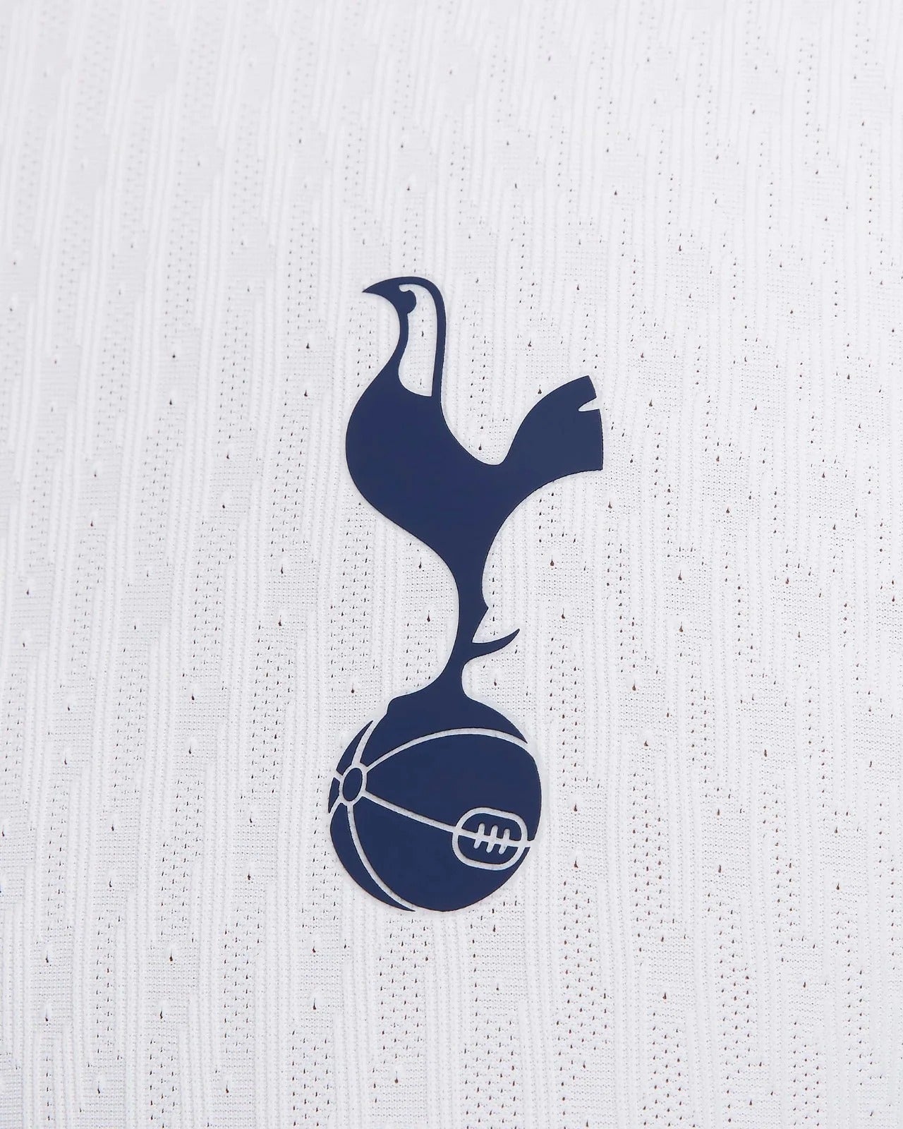 Tottenham Hotspurs Home 24/25